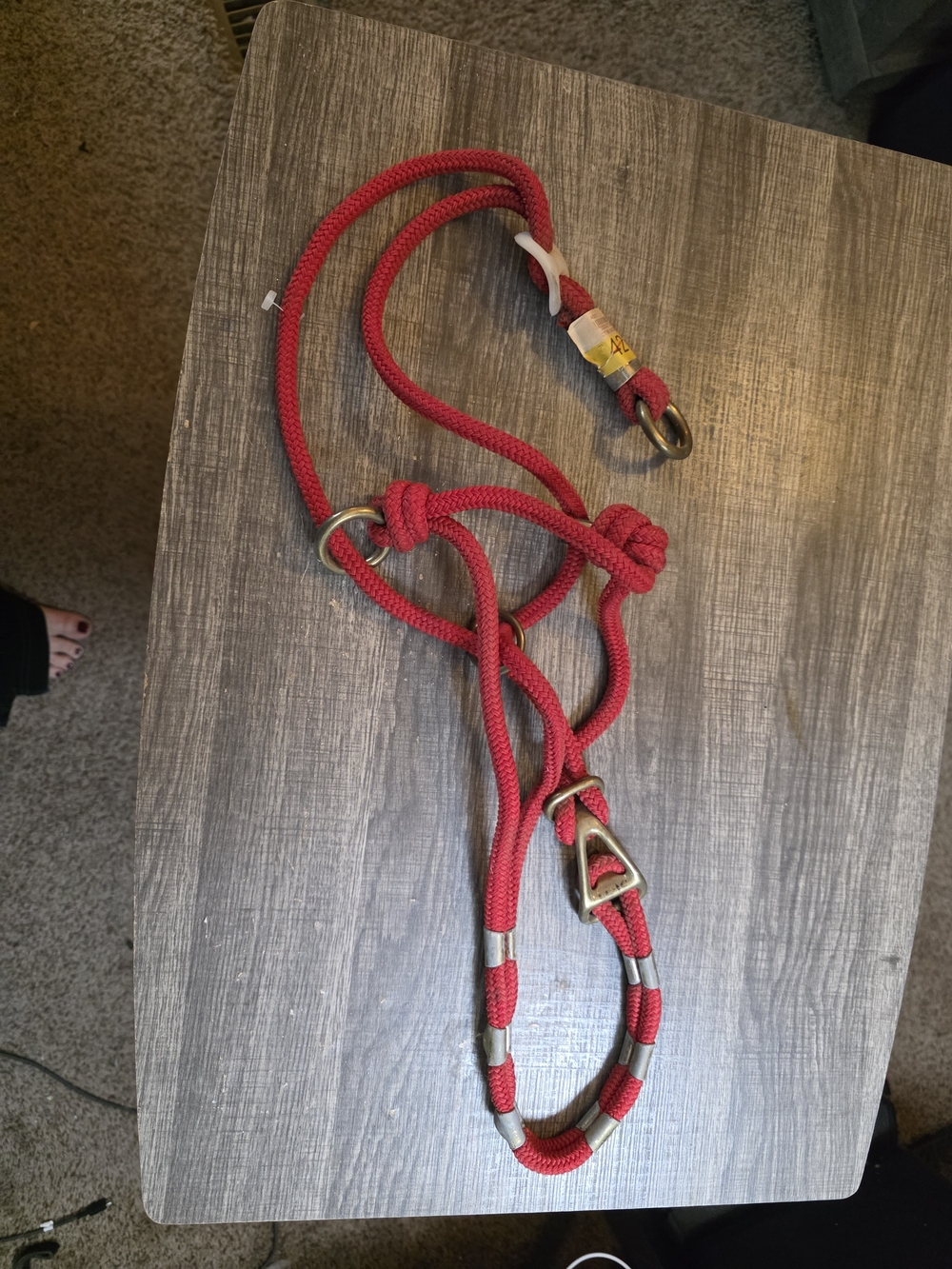 Red Rope Pull Back Halter